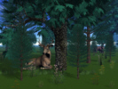 deerandbear.jpg