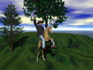 horse2.jpg