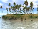 island.jpg