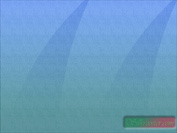 sharktooth.jpg